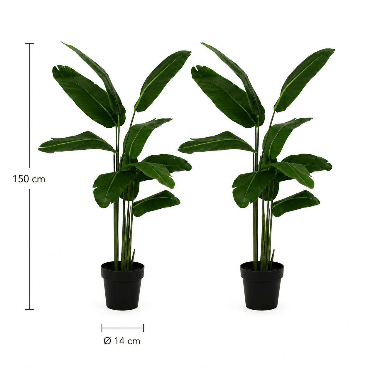 2er Set Strelitzie Kunstpflanze 150 cm – exotisches Duo mit großen Blättern - DYFLORA