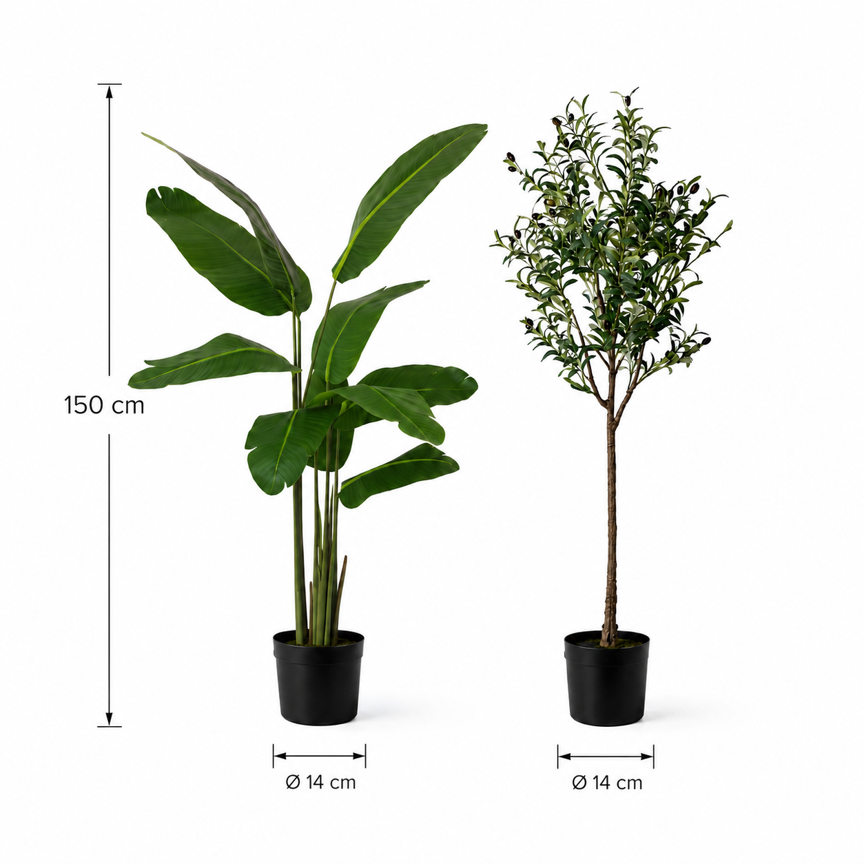 2-teiliges Kunstpflanzen-Set mit Strelitzie & Olivenbaum 150 cm