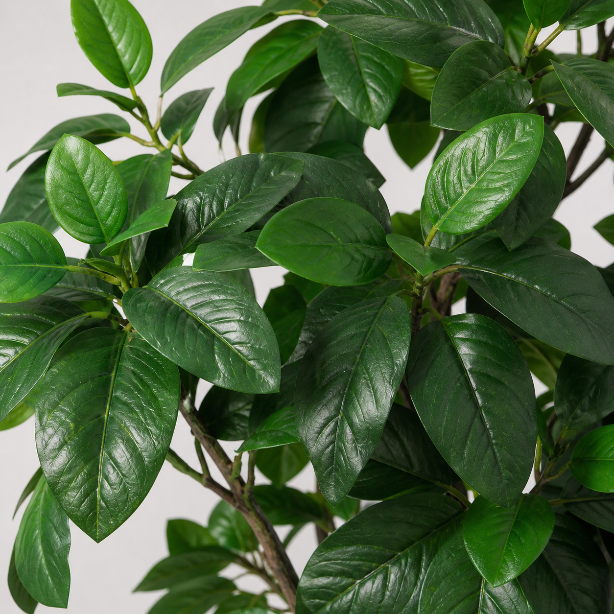 Magnolie Kunstpflanze 190 cm – eleganter Kunstbaum mit grünen Blättern
