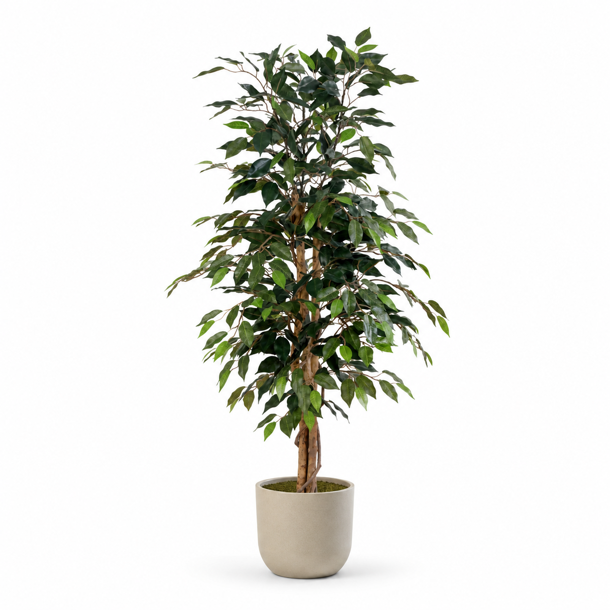 Kunstpflanze Birkenfeige Ficus Benjamina 130 cm