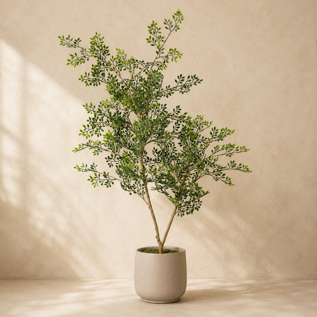 Bucida Kunstpflanze 71 cm | Realistischer künstlicher Bucida-Baum