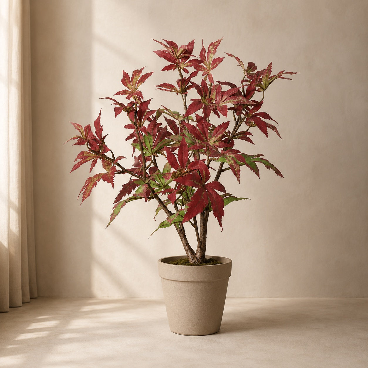 Kunstpflanze Japanischer Ahorn 53 cm | Rot-Grüner Kunstahorn