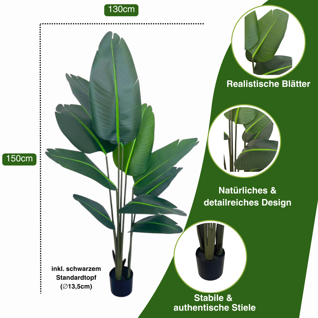 Künstliche Strelitzia
