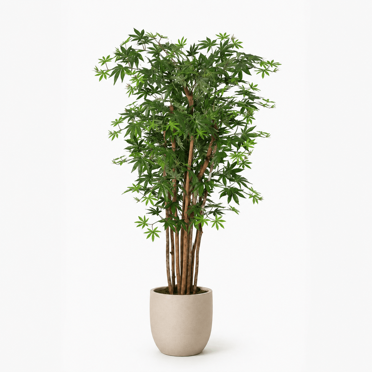 ARTIFICIAL Acer - 150cm - DYFLORA