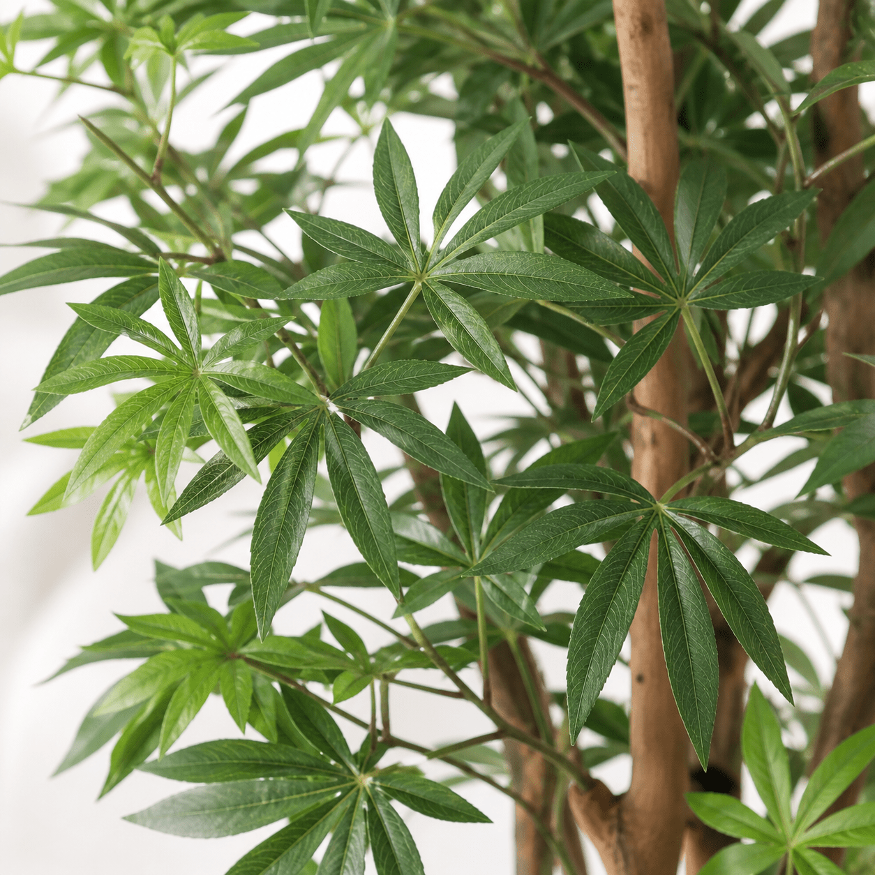ARTIFICIAL Acer - 150cm - DYFLORA