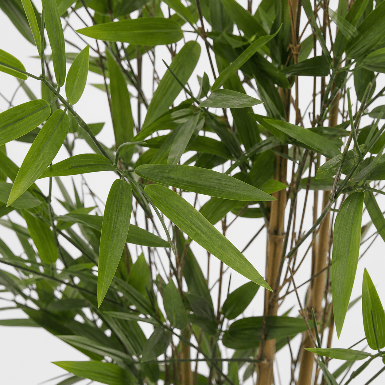 Bambus Kunstpflanze 123 cm – natürlicher Sichtschutz mit Asia - Flair - DYFLORA