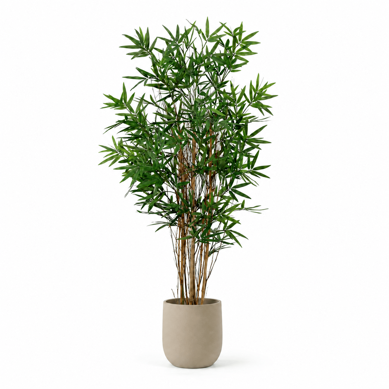 Bambus Kunstpflanze 144 cm – natürlich und stilvoll wohnen - DYFLORA