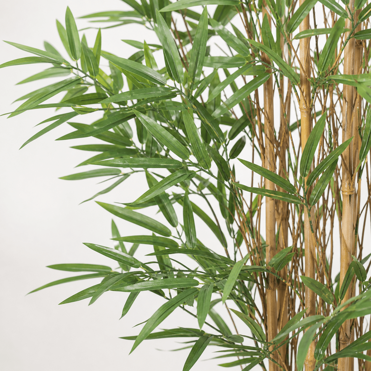 Bambus Kunstpflanze 144 cm – natürlich und stilvoll wohnen - DYFLORA