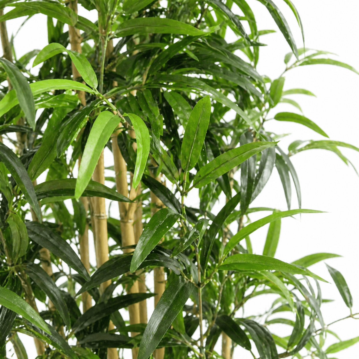 Bambus Kunstpflanze 180 cm – natürlicher Sichtschutz mit feinen Blättern - DYFLORA