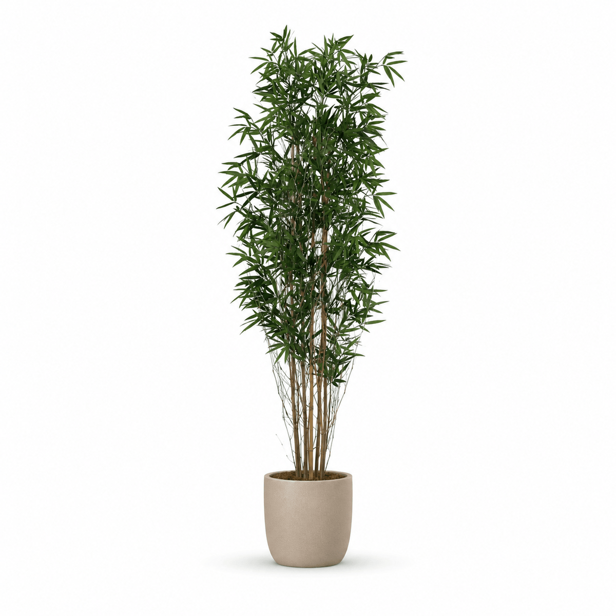 Bambus Kunstpflanze 210 cm – natürlicher Raumakzent für Wohnstil - DYFLORA