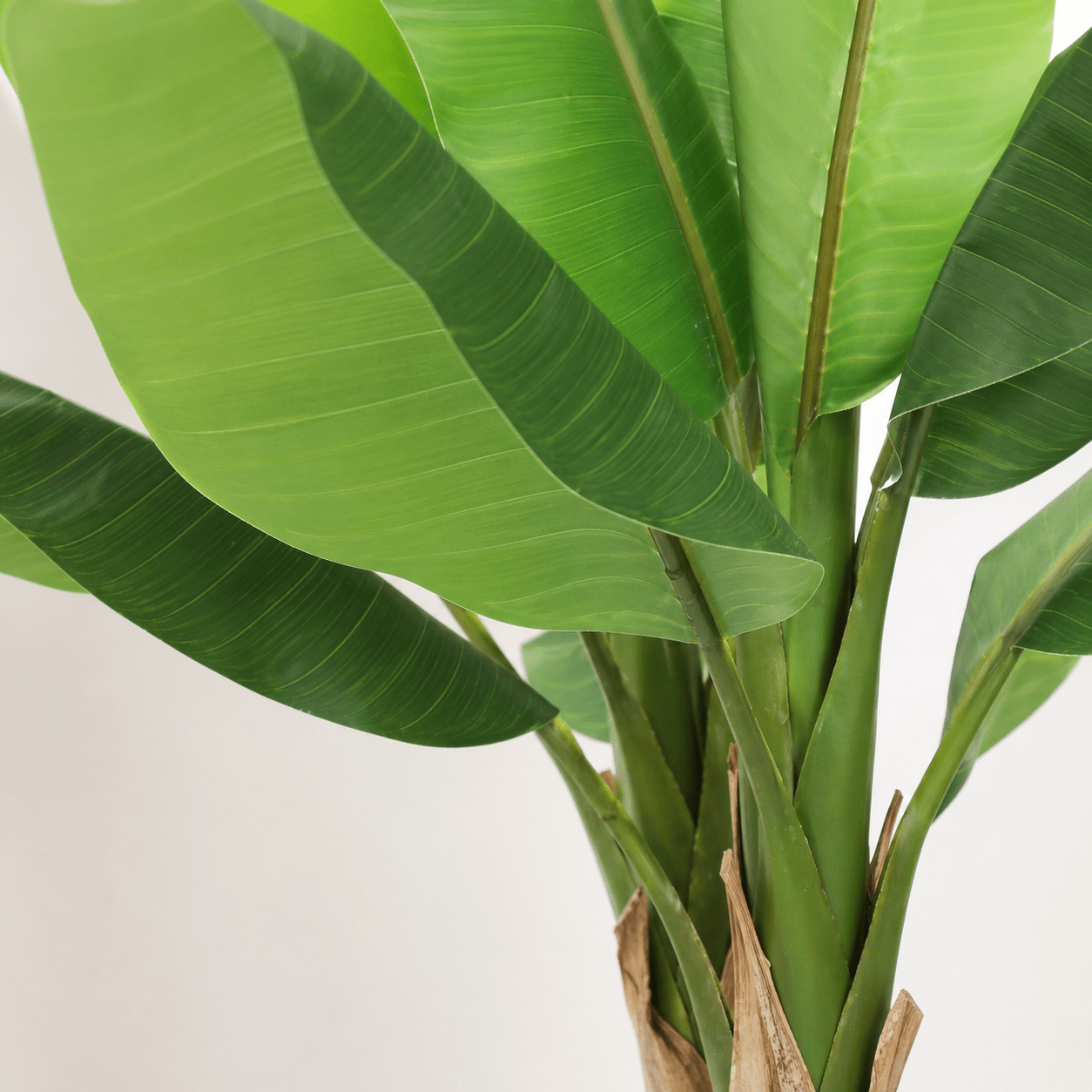 Bananenpflanze Kunstpflanze 120 cm – tropischer Blickfang mit großen Blättern - DYFLORA