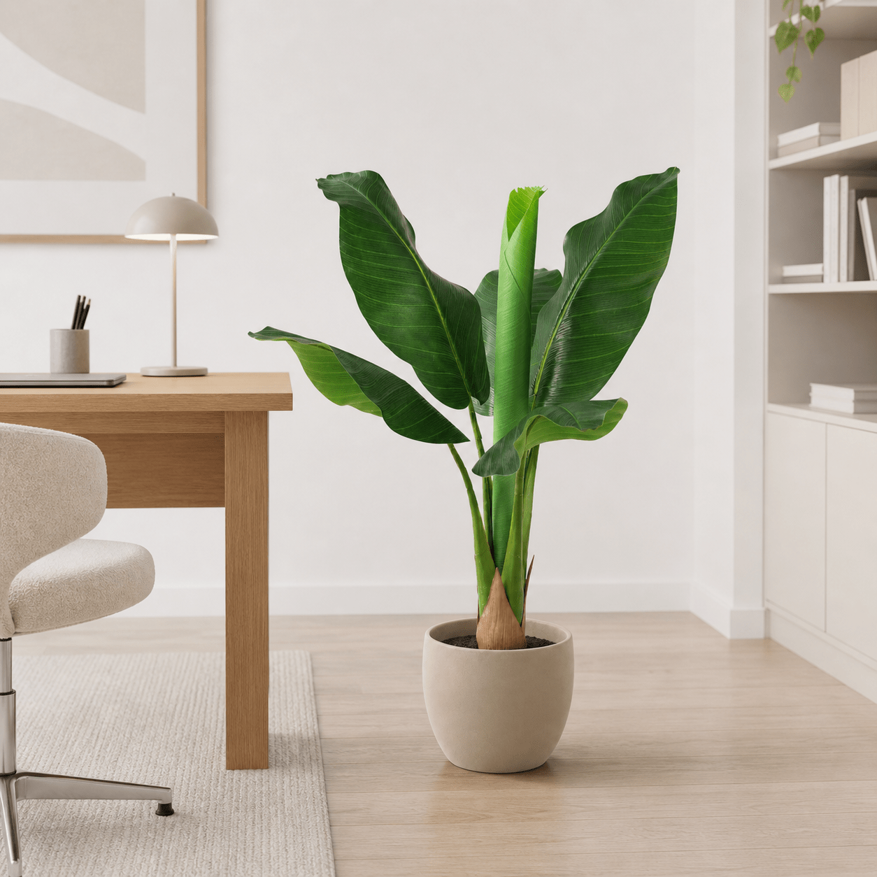 Bananenpflanze Kunstpflanze 80 cm – Musa tropisch und modern - DYFLORA