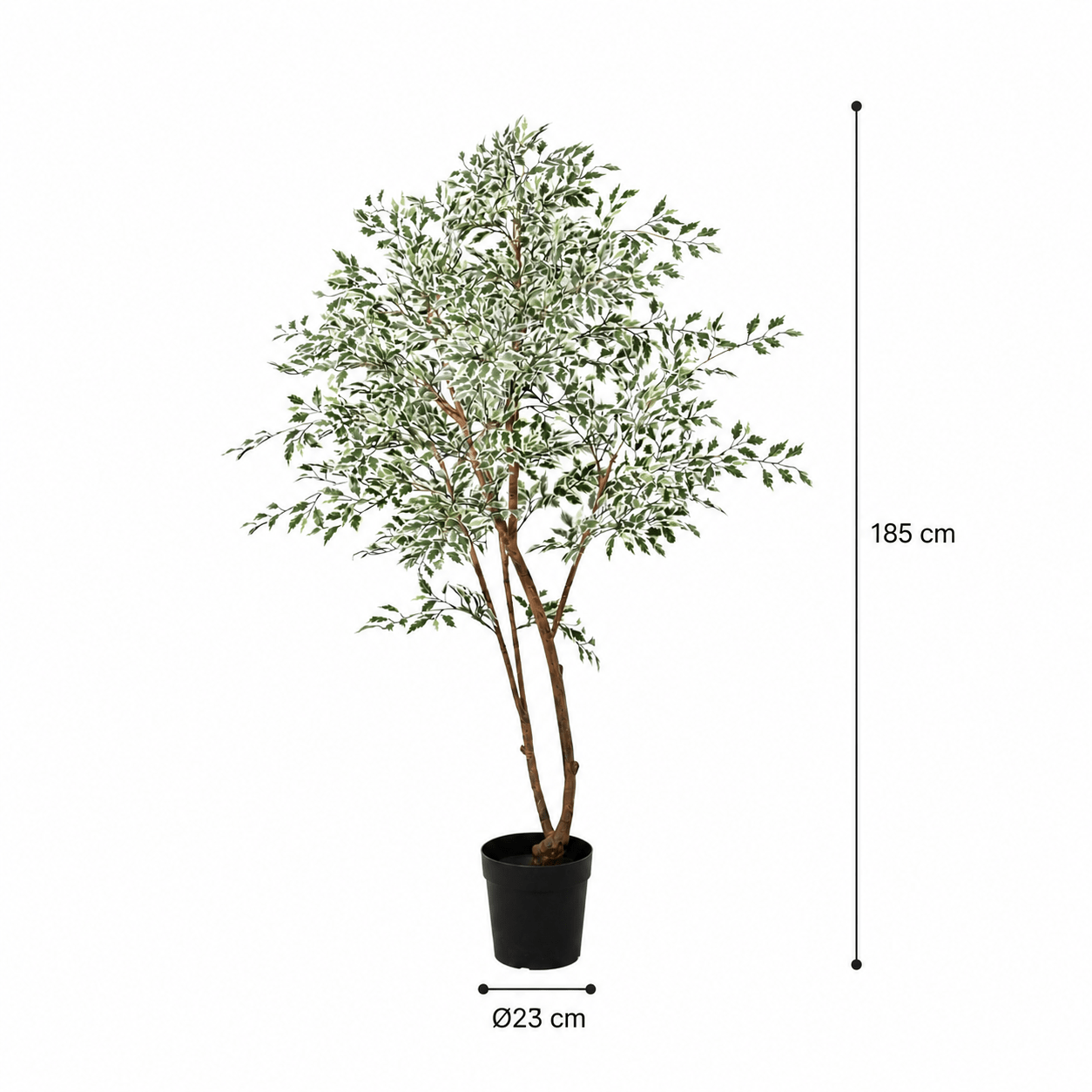 Birkenfeige Kunstpflanze 185 cm – Ficus benjamina jetzt kaufen - DYFLORA