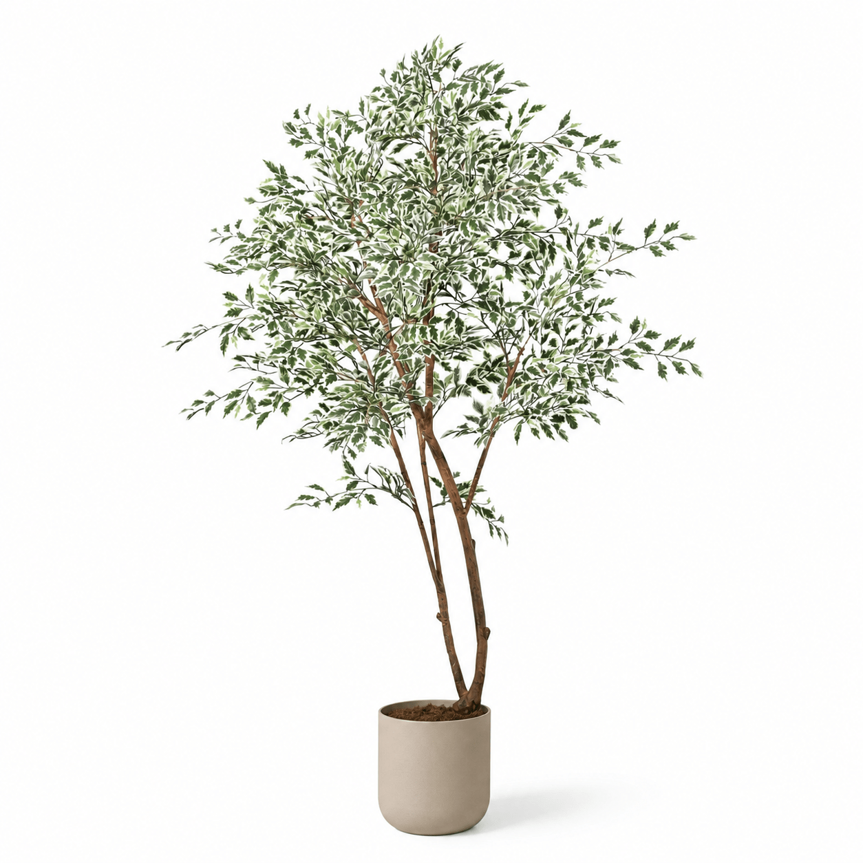 Birkenfeige Kunstpflanze 185 cm – Ficus benjamina jetzt kaufen - DYFLORA