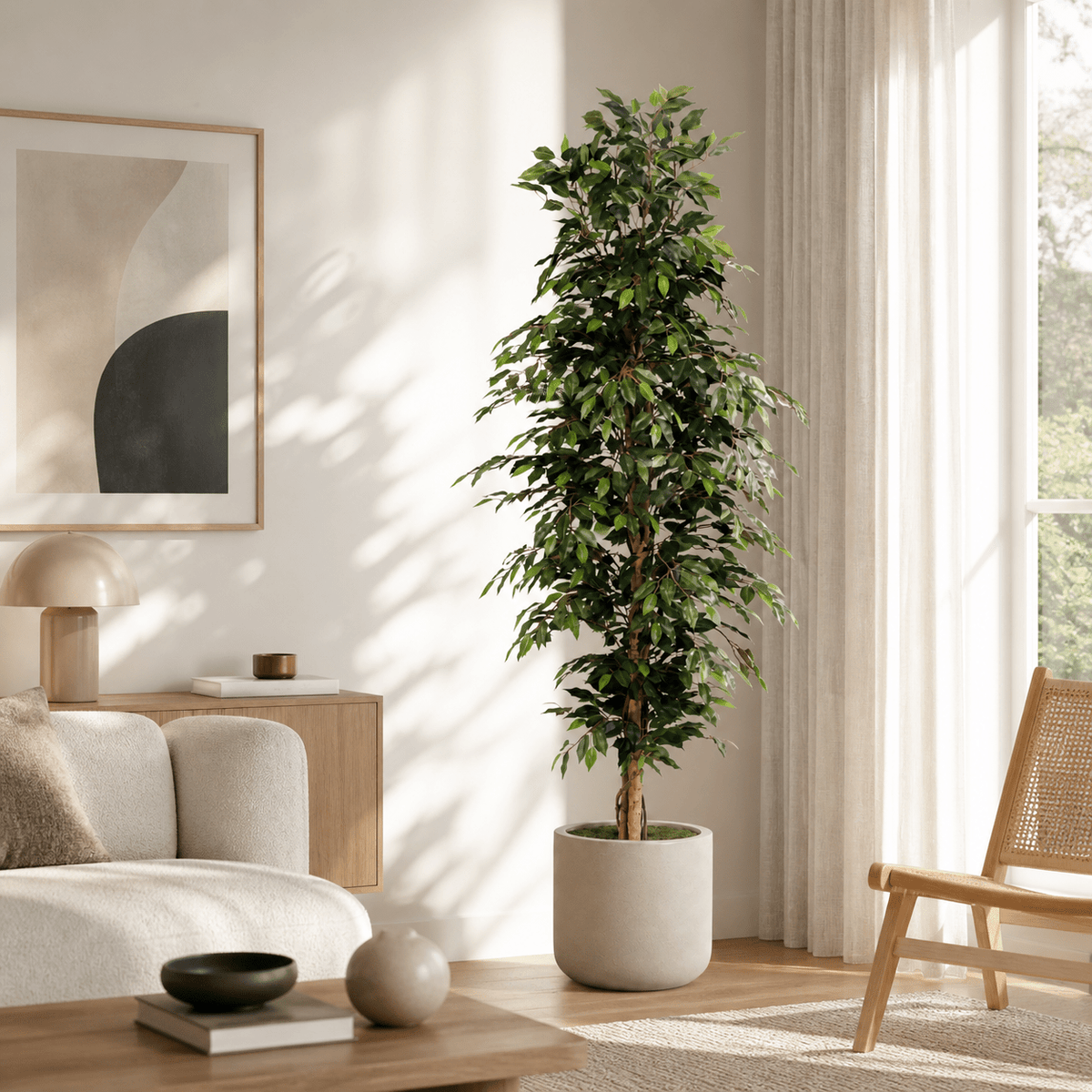 Birkenfeige Kunstpflanze 205 cm – Ficus Benjamina groß & elegant - DYFLORA