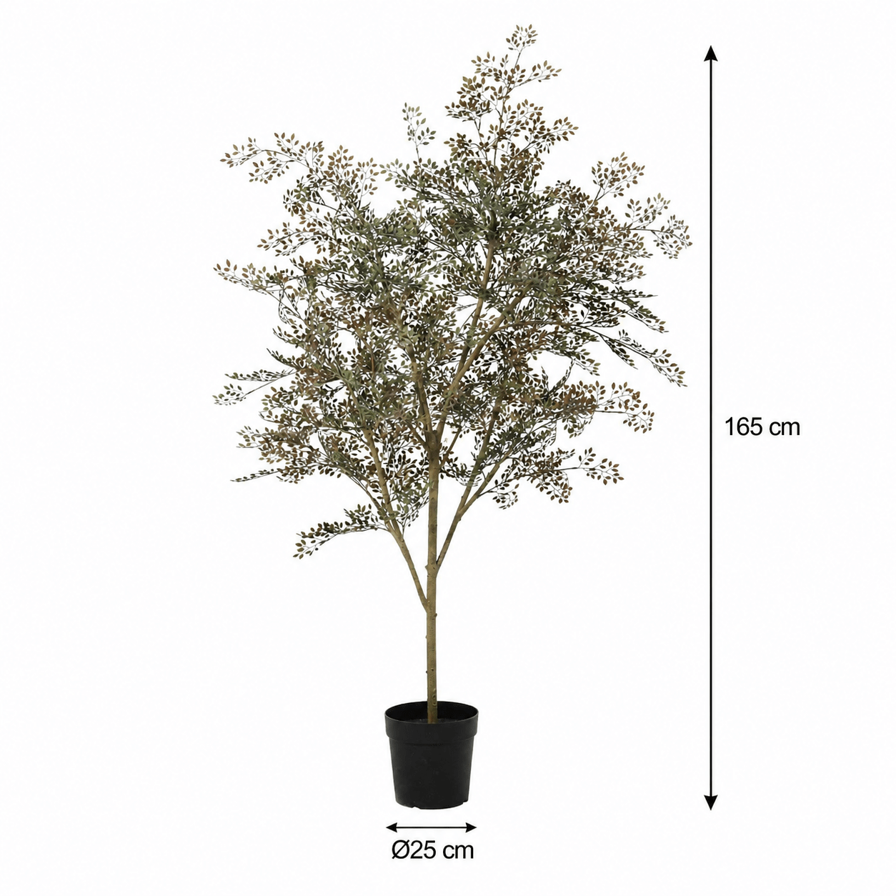 Bucida Kunstpflanze 165 cm – natürlicher Kunstbaum stilvoll - DYFLORA