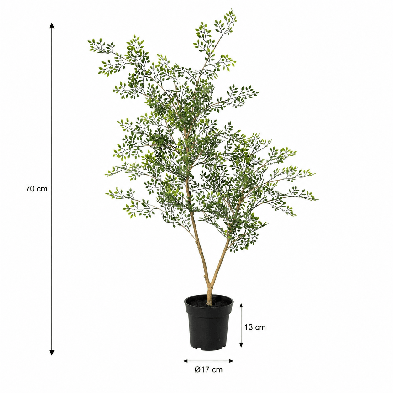 Bucida Kunstpflanze 71 cm – filigraner Kunstbaum mit feinen Blättern - DYFLORA