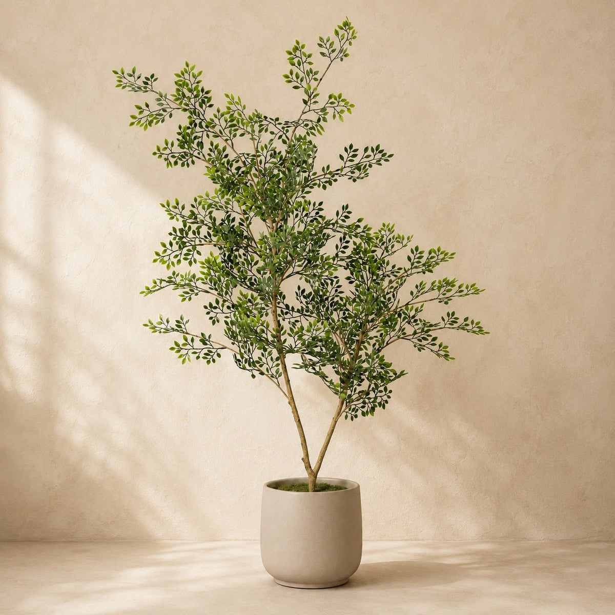 Bucida Kunstpflanze 71 cm | Realistischer künstlicher Bucida-Baum - DYFLORA