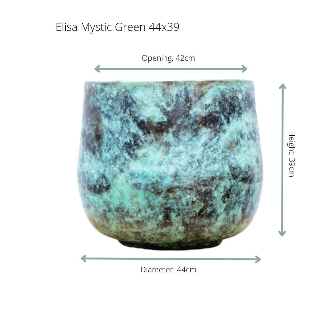 Elisa - DYFLORA