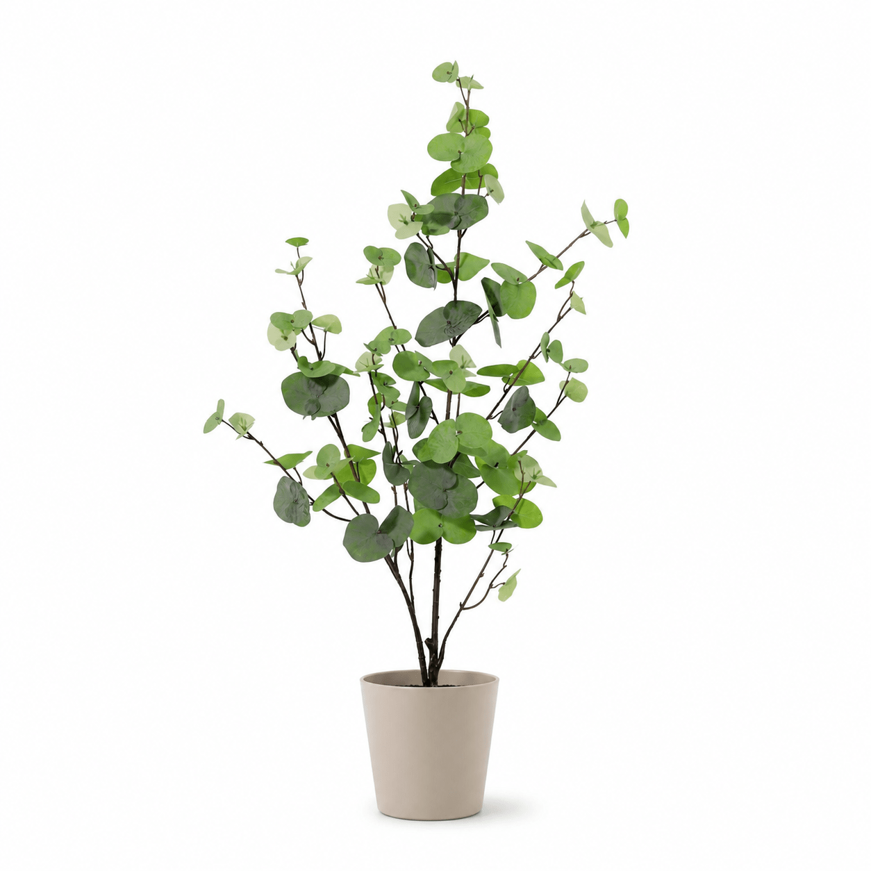 Eukalyptus Kunstpflanze 86 cm – grün, natürlich und stilvoll - DYFLORA
