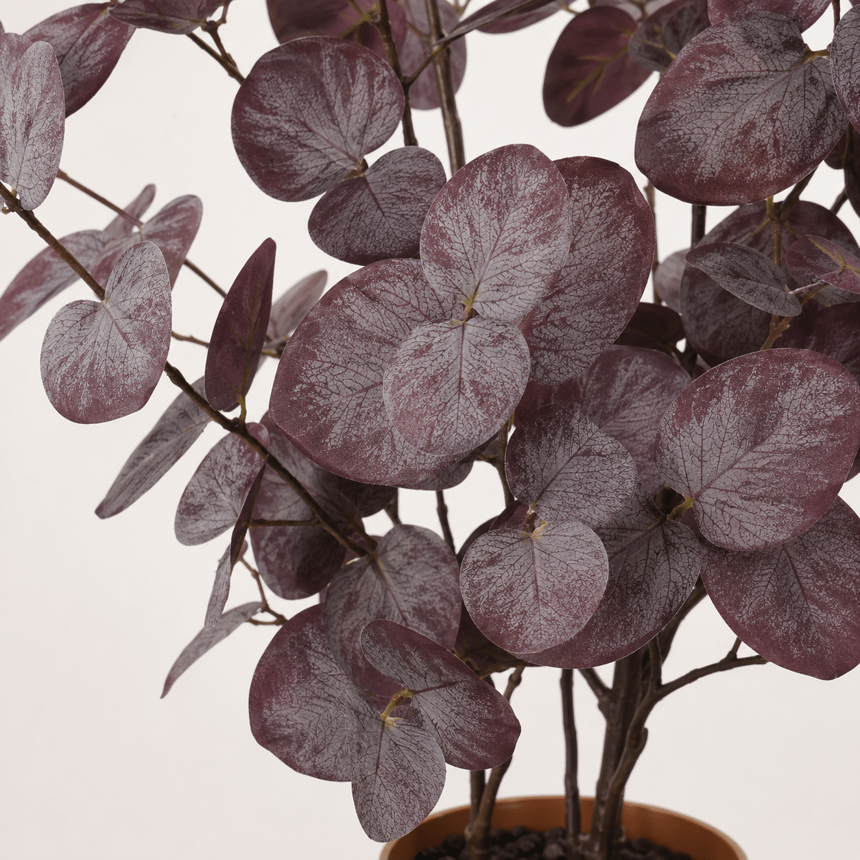 Eukalyptus Kunstpflanze 86 cm violett – stilvolle Deko mit runden Blättern - DYFLORA