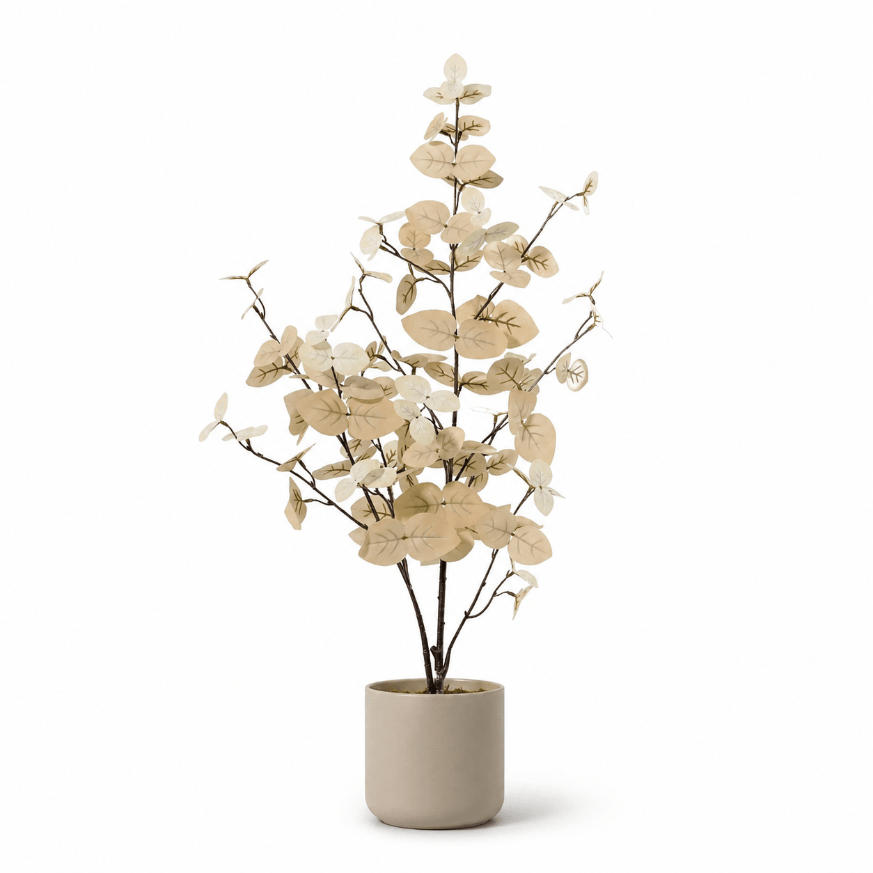 Eukalyptus Kunstpflanze 86 cm weiß – zarte Deko mit natürlicher Zweigform - DYFLORA