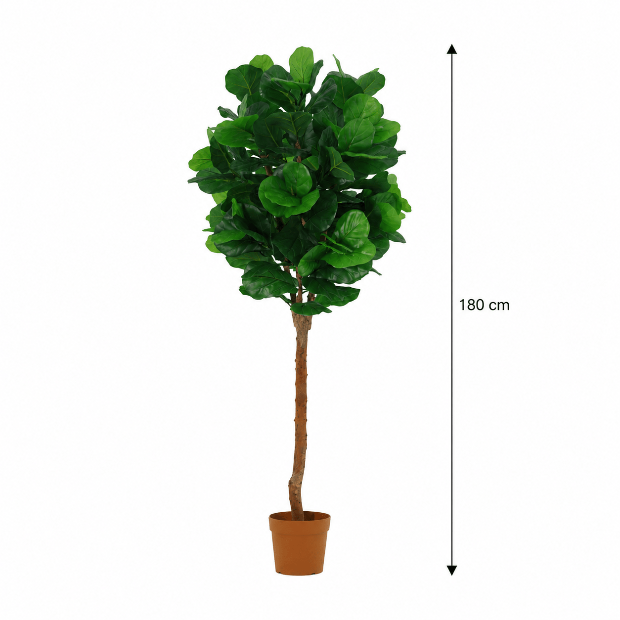 Geigenfeige Kunstpflanze 180 cm – Ficus lyrata als stilvoller Kunstbaum - DYFLORA