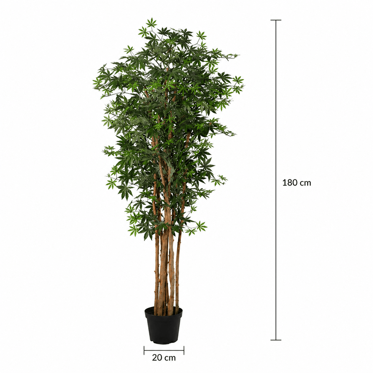 Japanischer Ahorn Kunstpflanze 180 cm – edler Blickfang mit feinen Blättern - DYFLORA