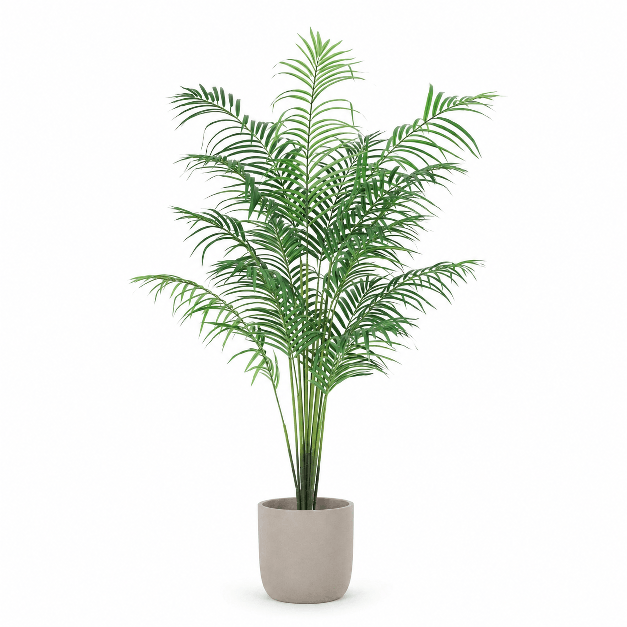 Kentia Palme Kunstpflanze 170 cm – elegante künstliche Zimmerpalme - DYFLORA