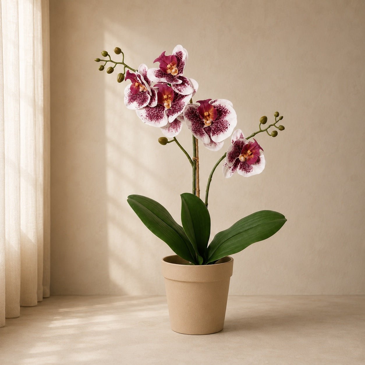Kunstorchidee Schmetterlingsorchidee 41 cm Violett-Weiß - DYFLORA