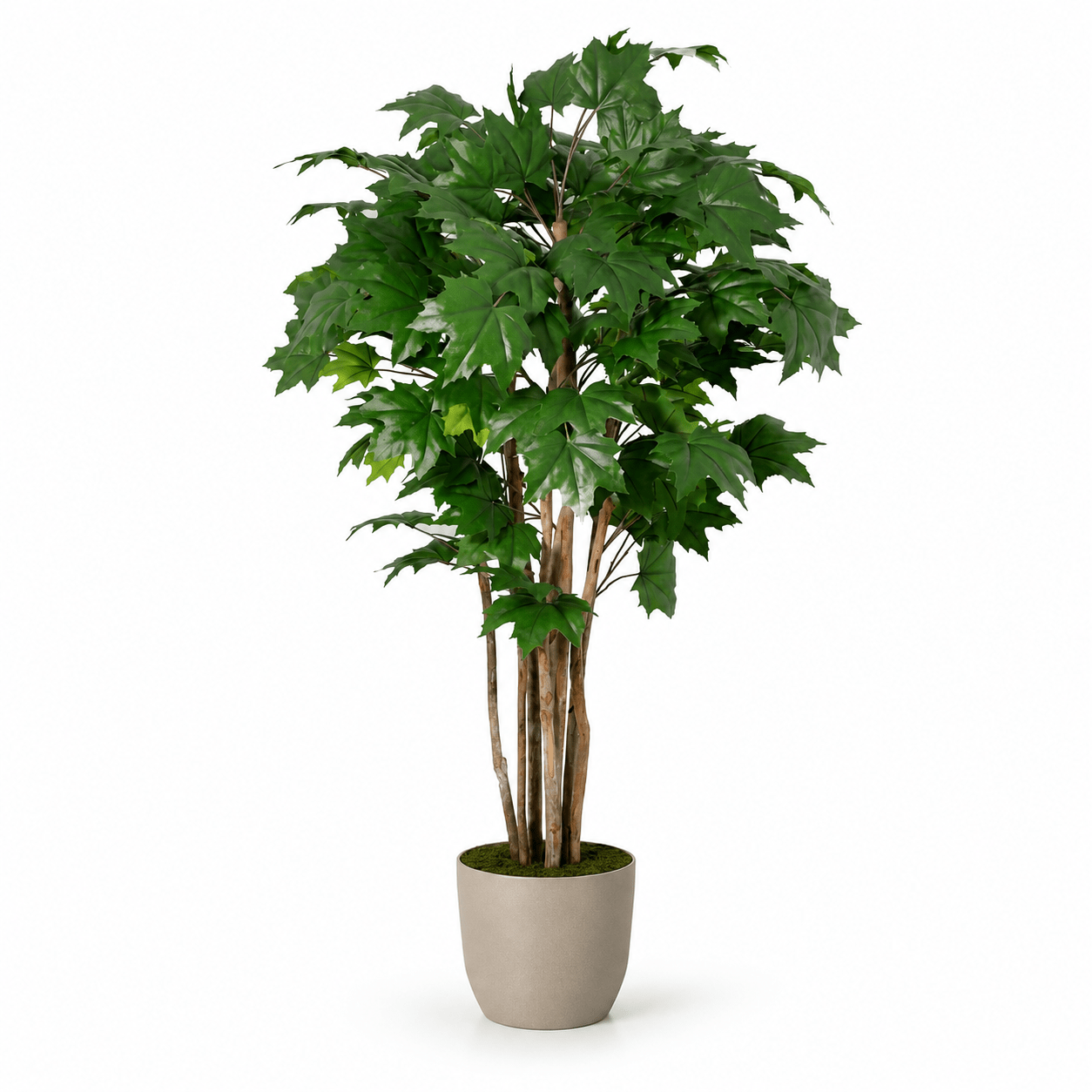 Kunstpflanze Ahornbaum 150 cm – künstlicher Ahorn mit Naturlook - DYFLORA