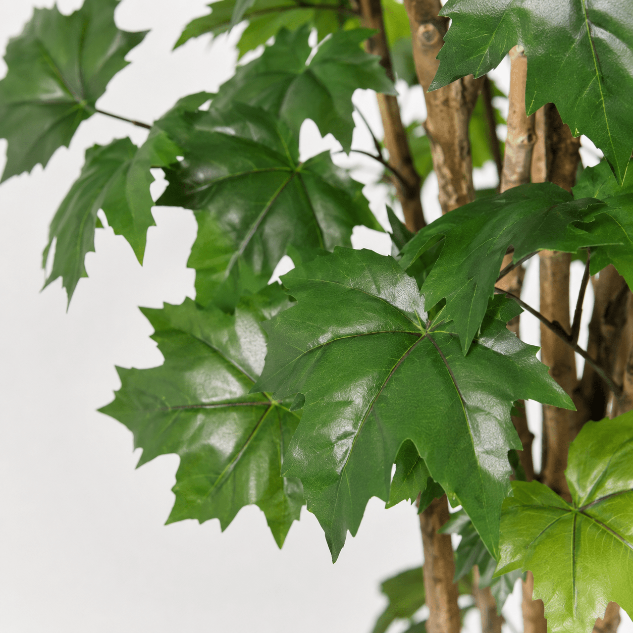 Kunstpflanze Ahornbaum 180 cm – künstlicher Ahorn mit Naturlook - DYFLORA