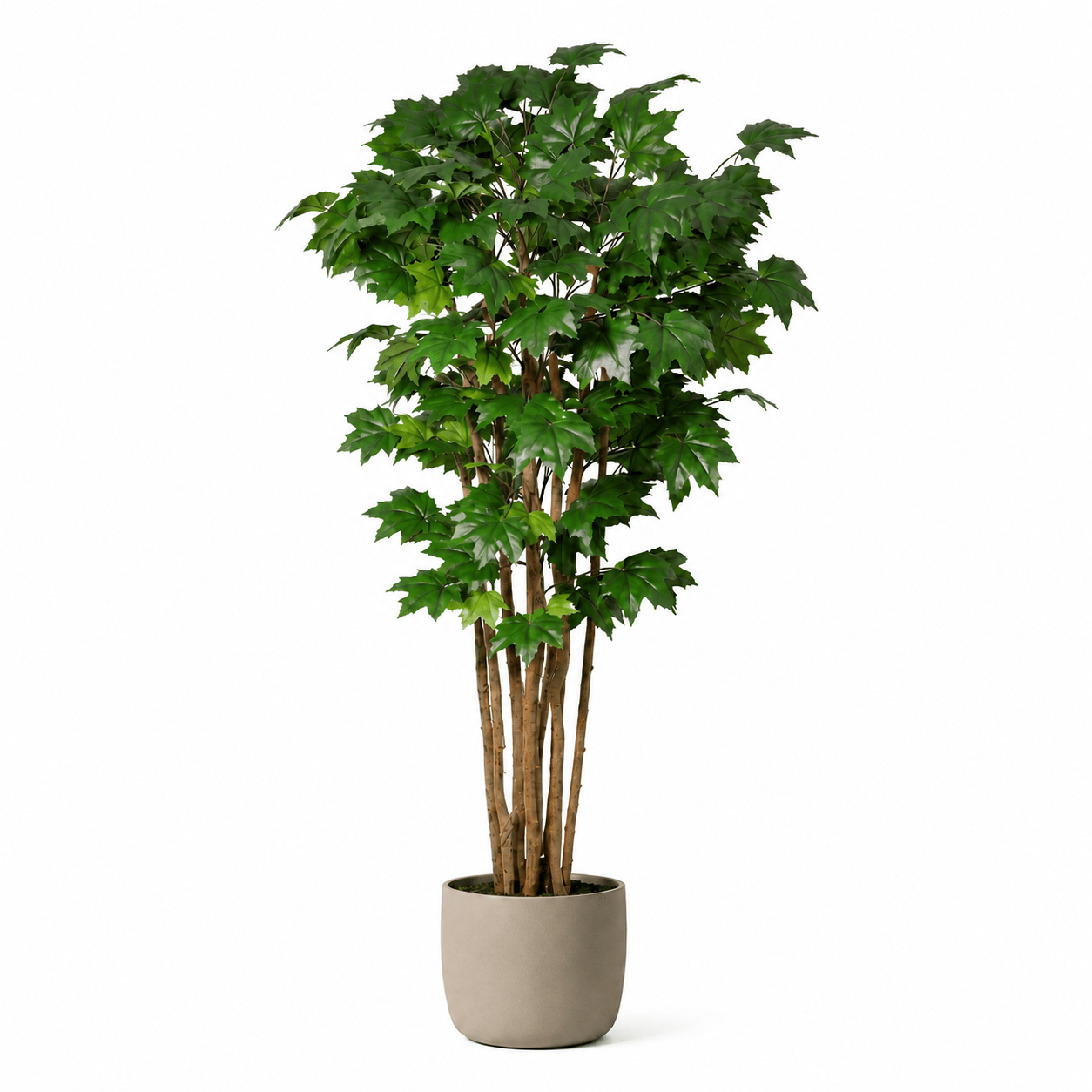 Kunstpflanze Ahornbaum 180 cm – künstlicher Ahorn mit Naturlook - DYFLORA