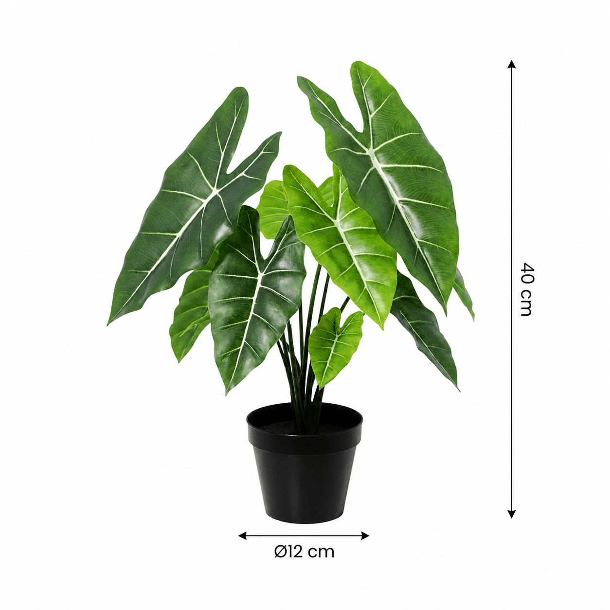 Kunstpflanze Alokasie Polly 40 cm mit markanter Blattzeichnung - DYFLORA