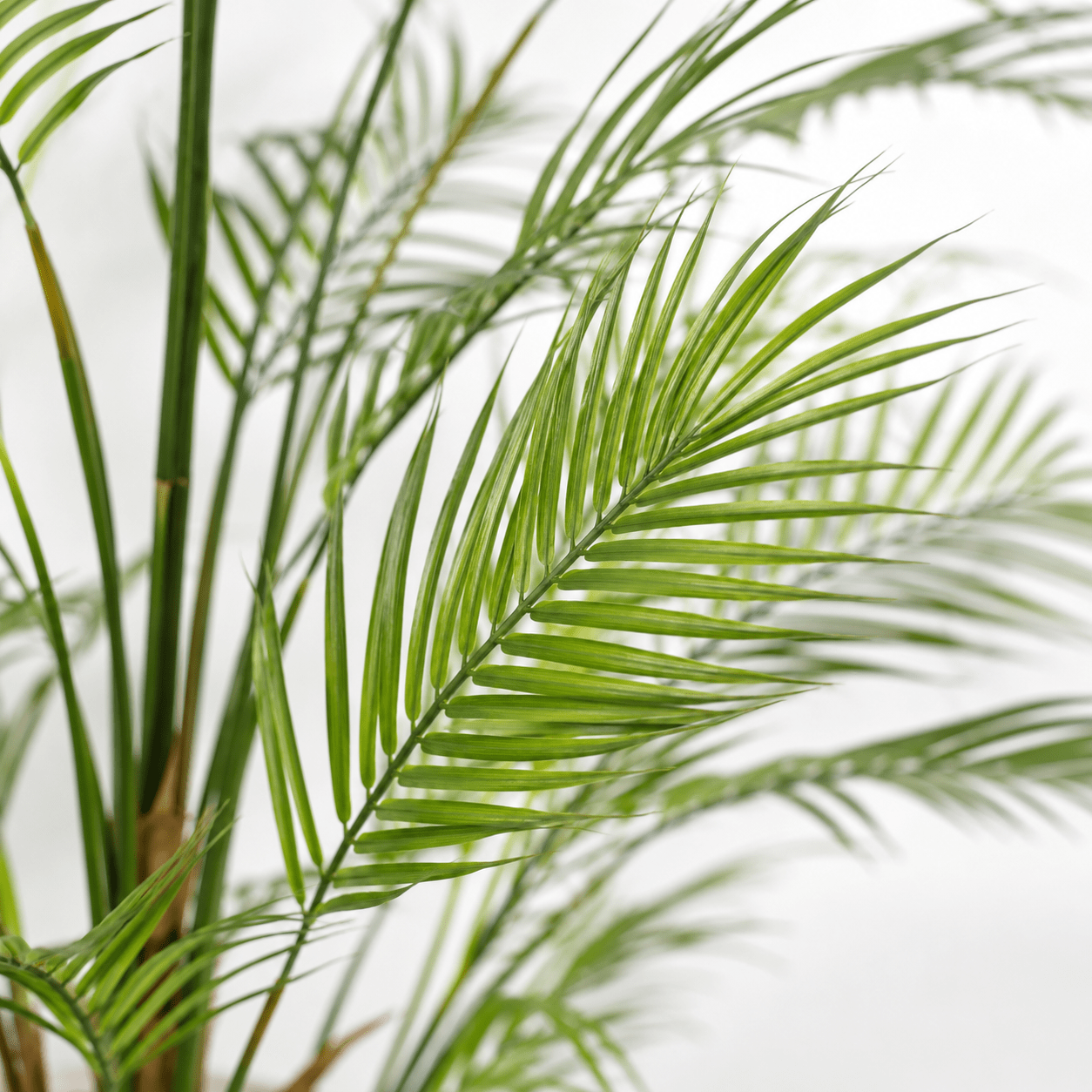 Kunstpflanze Areca Palme 122 cm tropisch naturgetreu - DYFLORA