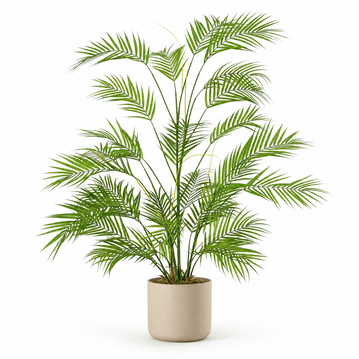 Kunstpflanze Areca Palme 122 cm tropisch naturgetreu - DYFLORA
