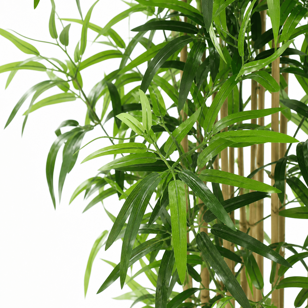 Kunstpflanze Bambus 150 cm mit natürlicher, ruhiger Ausstrahlung - DYFLORA