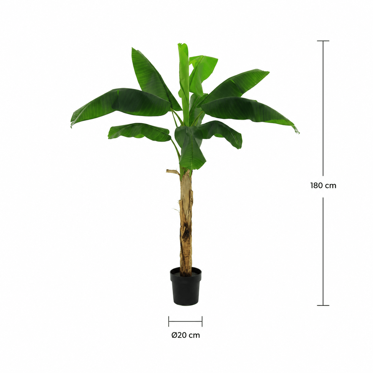 Kunstpflanze Bananenpflanze Musa 180 cm mit tropischem Look - DYFLORA
