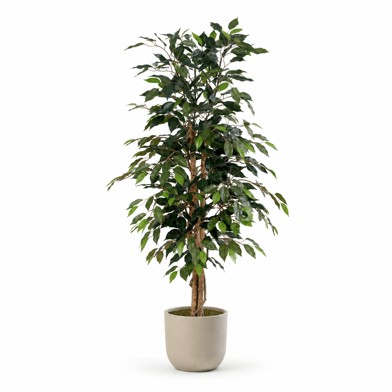 Kunstpflanze Birkenfeige Ficus Benjamina 130 cm - DYFLORA