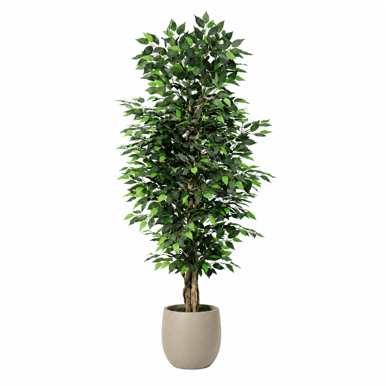 Kunstpflanze Birkenfeige Ficus Benjamina 180 cm - DYFLORA