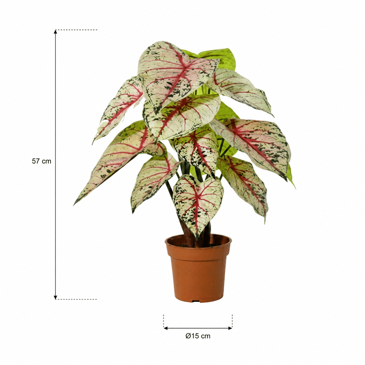 Kunstpflanze Caladium weiß rosa 57 cm - DYFLORA