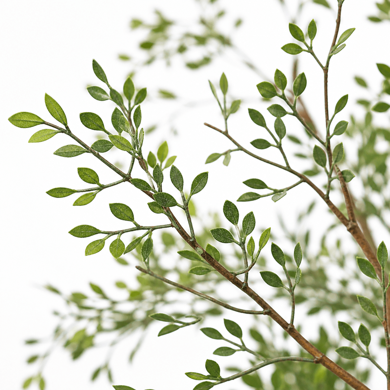 Kunstpflanze Cassia Baum 180 cm mit filigraner, luftiger Optik - DYFLORA