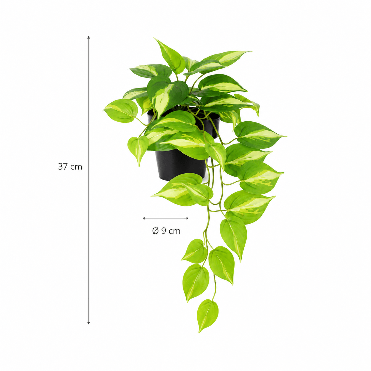 Kunstpflanze Efeutute Variegata 37 cm – künstliches Epipremnum - DYFLORA