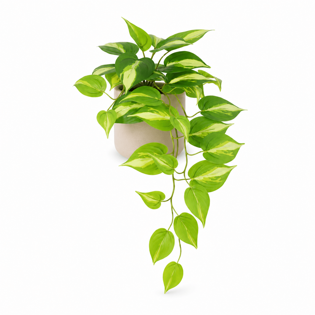 Kunstpflanze Efeutute Variegata 37 cm – künstliches Epipremnum - DYFLORA