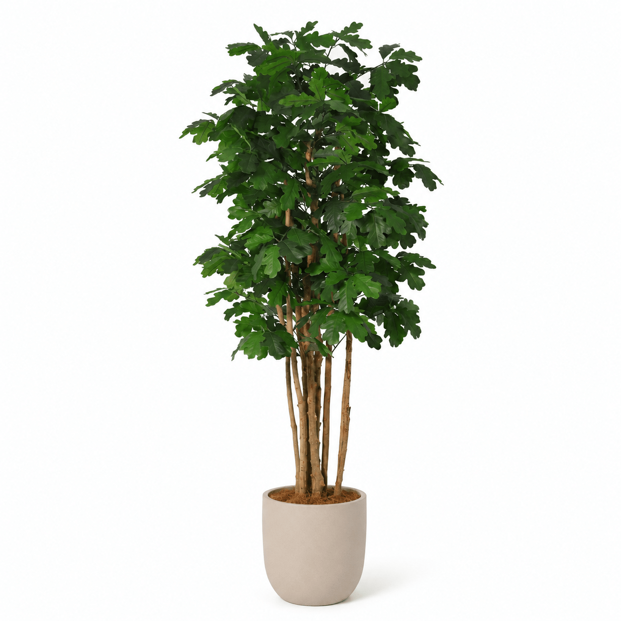 Kunstpflanze Eichenbaum 170 cm grün naturgetreu - DYFLORA