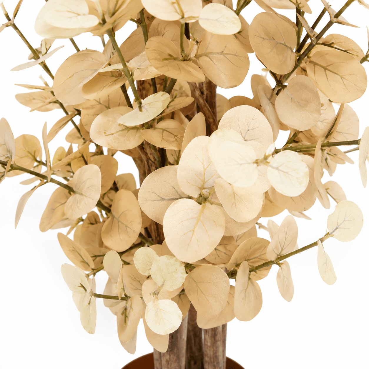 Kunstpflanze Eukalyptus 125 cm gelb naturgetreu - DYFLORA
