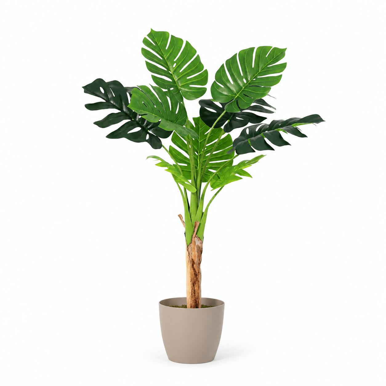 Kunstpflanze Fensterblatt Monstera Deliciosa 120 cm - DYFLORA