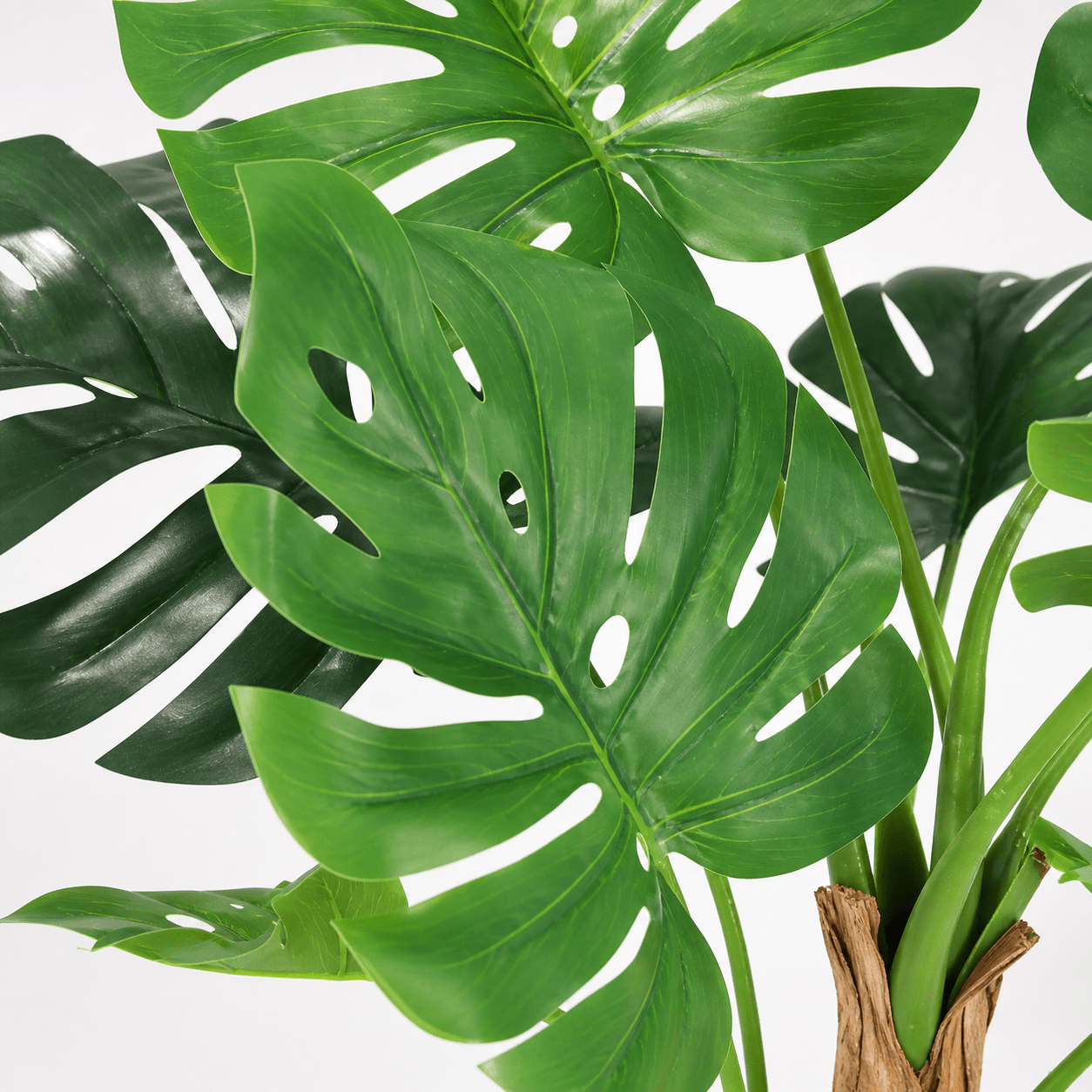 Kunstpflanze Fensterblatt Monstera Deliciosa 120 cm - DYFLORA
