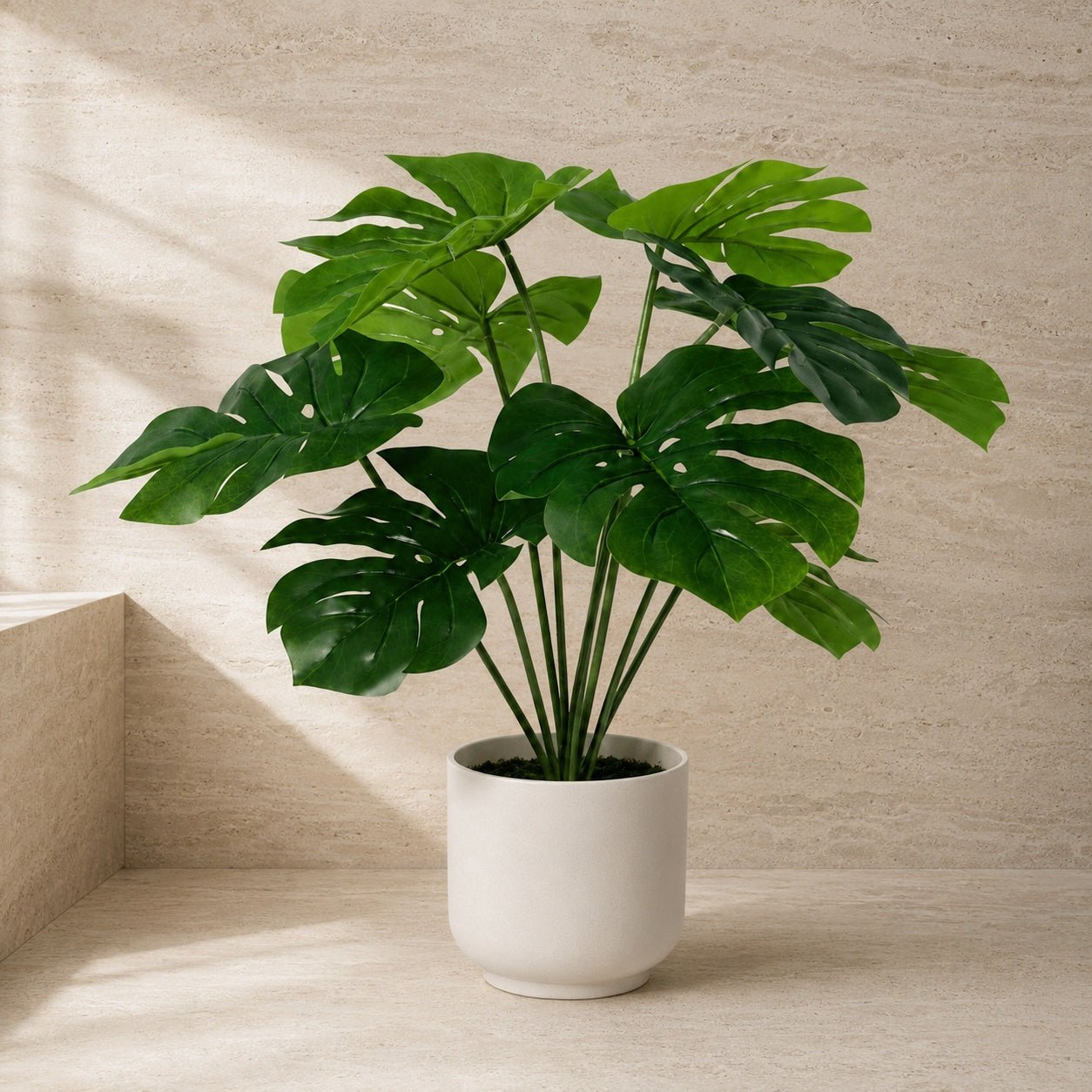 Kunstpflanze Fensterblatt Monstera Deliciosa 50 cm | Realistische Monstera - DYFLORA