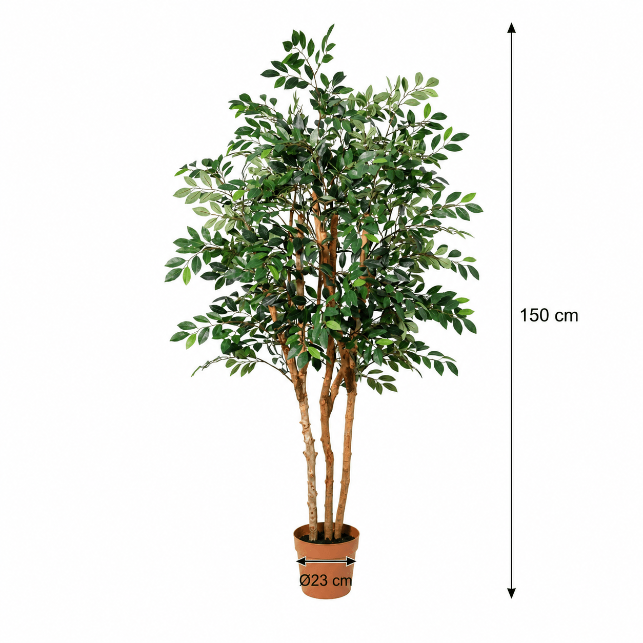 Kunstpflanze Ficus Exotica 150 cm – künstlicher Ficusbaum - DYFLORA
